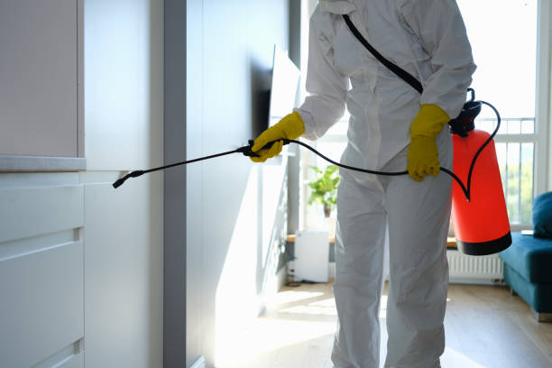 Best Mold Odor Removal Services  in Navasota, TX